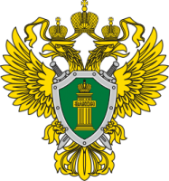 Видеоролики