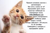анонс