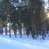 IMG_1686.JPG
