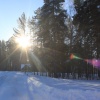 Природа Жарков