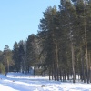 IMG_1688.JPG