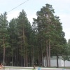 IMG_7028.JPG