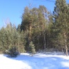 IMG_1692.JPG