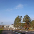 Золотая осень