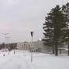 «Жарки» встречают гостей