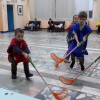 ТОВАРИЩЕСКИЙ МАТЧ ПО ХОККЕЮ
