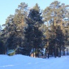 IMG_1681.JPG